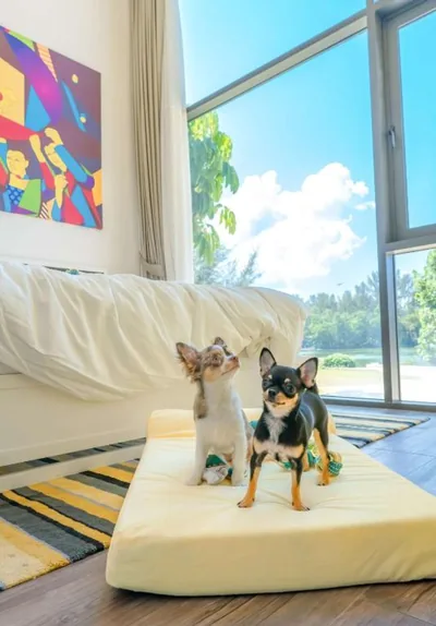 Cassia Phuket, part of Banyan Group – Photos 10